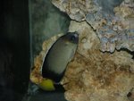 DSCN0265