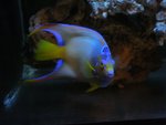 DSCN0278