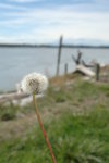 DSC_3319