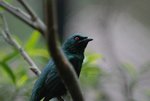 DSC_0018a