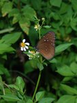 DSC_0016a