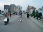 DSCF1752