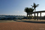IMG_067c