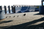 IMG_105c