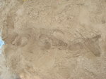 DSC01365