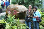 IMG_2506_resize