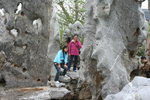 IMG_2522_resize
