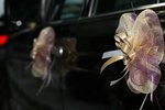 Resize of IMG_2761
