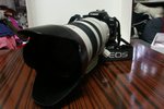 Resize of PICT0019