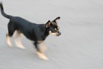 Resize of IMG_8309