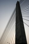 Resize of IMG_8391