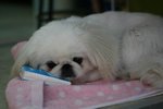 Resize of IMG_2170