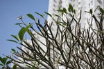 Resize of IMG_2186