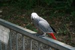 Resize of IMG_8566