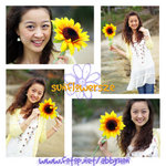 sunflowersze