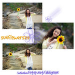 sunflowersze1