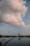 DSC_7391