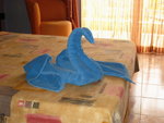 IMG_2841b