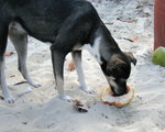 IMG_3163c