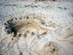 IMG_3168b