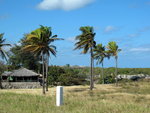 IMG_0851b