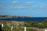 IMG_0858c
