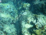 IMG_3354b