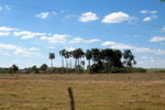 IMG_3392c