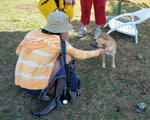 IMG_3460c
