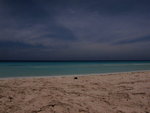IMG_1143b