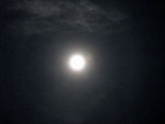 IMG_1153b