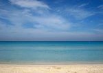 IMG_3601c
