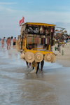 IMG_3936c