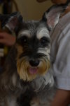 DSC_0851