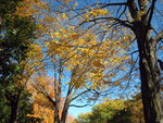 IMG_0726m