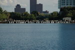 DSC_1948
