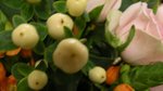 DSCN0750