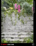 DSCN0594