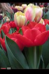 DSCN0644