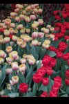 DSCN0647