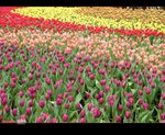 DSCN0650