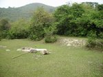下層草地係非指定營位 , 冇爐冇垃圾桶 , 但地方最大 , 今次草地尚算整潔 , 平時常見倒週地牛屎