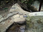 好可憐既水源 . . . . 在這裡感激團友 "亞香" 替大家裝左兩個幾鐘頭水袋