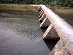 若水流覆蓋橋面時 , 切勿嘗試過橋 , 不過我尚未見過如此大水