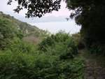 叢林 Feel 營地 , 多方位都有樹包圍