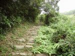 食完野聽完直昇機聲 , 行下樓梯當運動晨操下先 , 其實成個營地只係得條樓梯可行