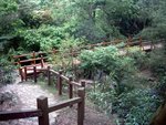 營地內既「田清橋」 , 橋底完全係一潭死水 , 掂下都隨時中毒