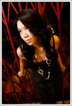 PICT1271