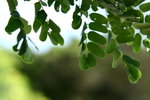 IMG_3866