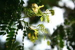IMG_3867